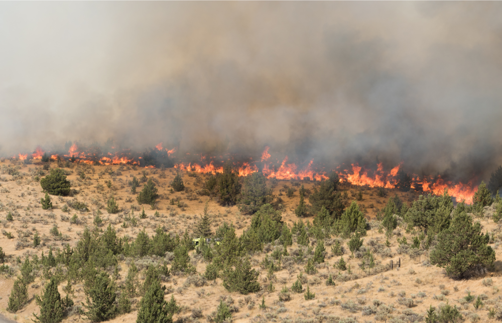 Wildfire Burning